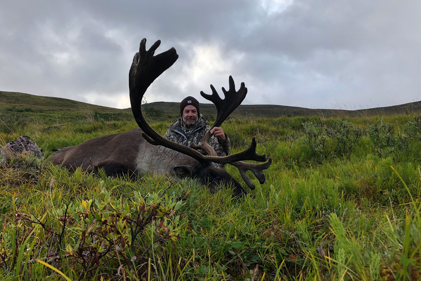 Alaska selfguided caribou hunts 40 mile, YukonCharley, Tok