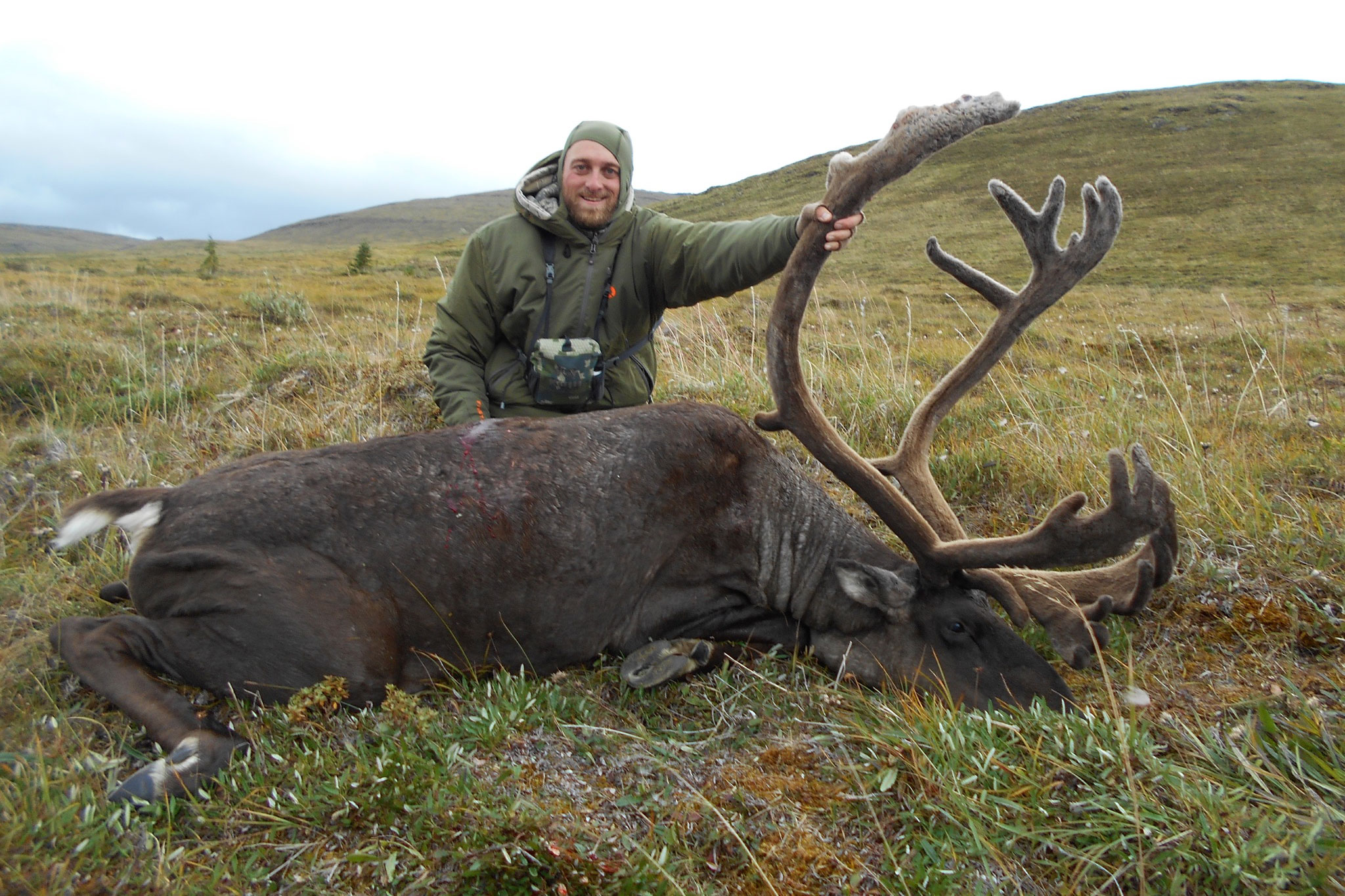 Alaska selfguided caribou hunts 40 mile, YukonCharley, Tok