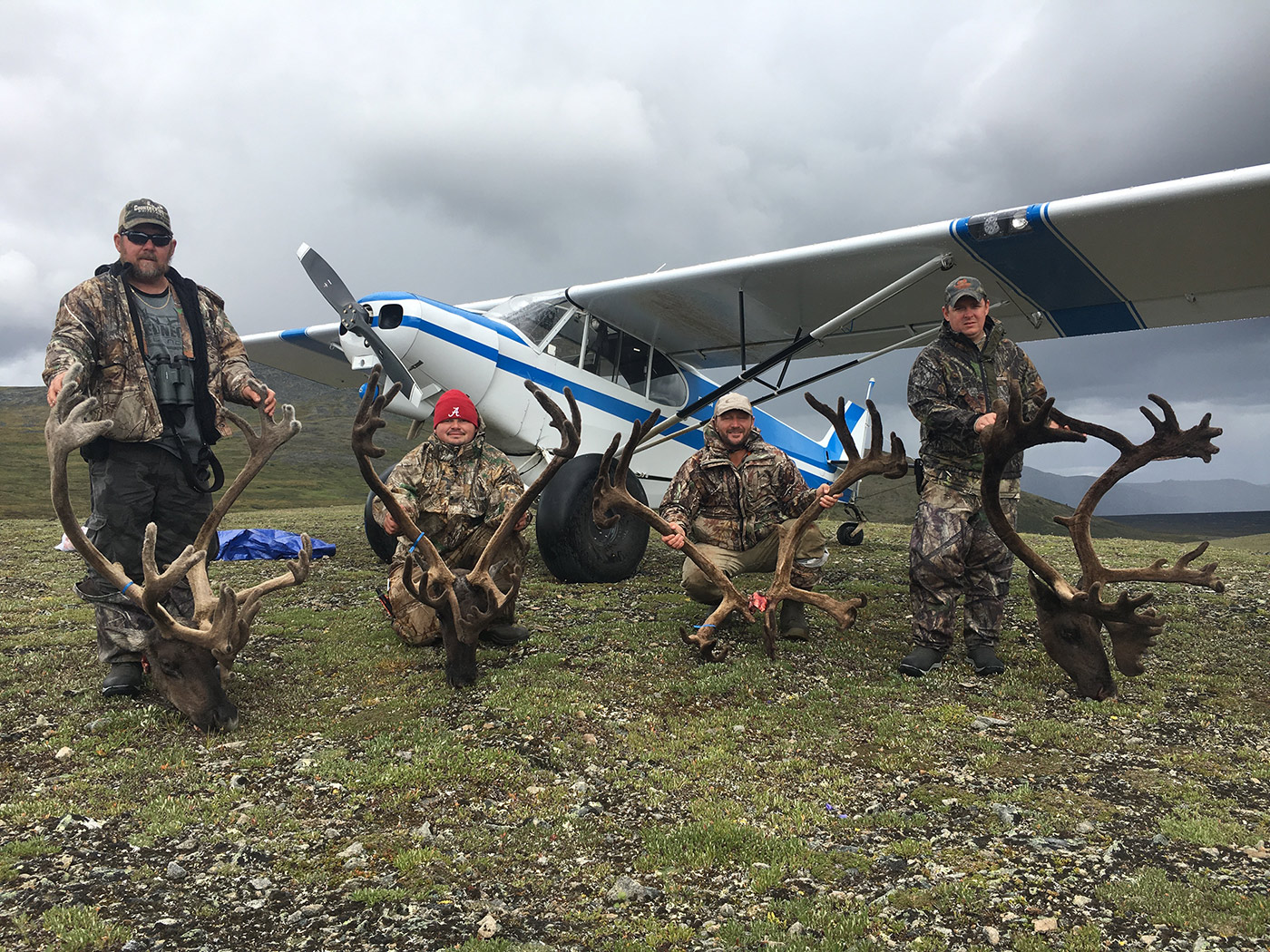 Alaska selfguided caribou hunts 40 mile, YukonCharley, Tok