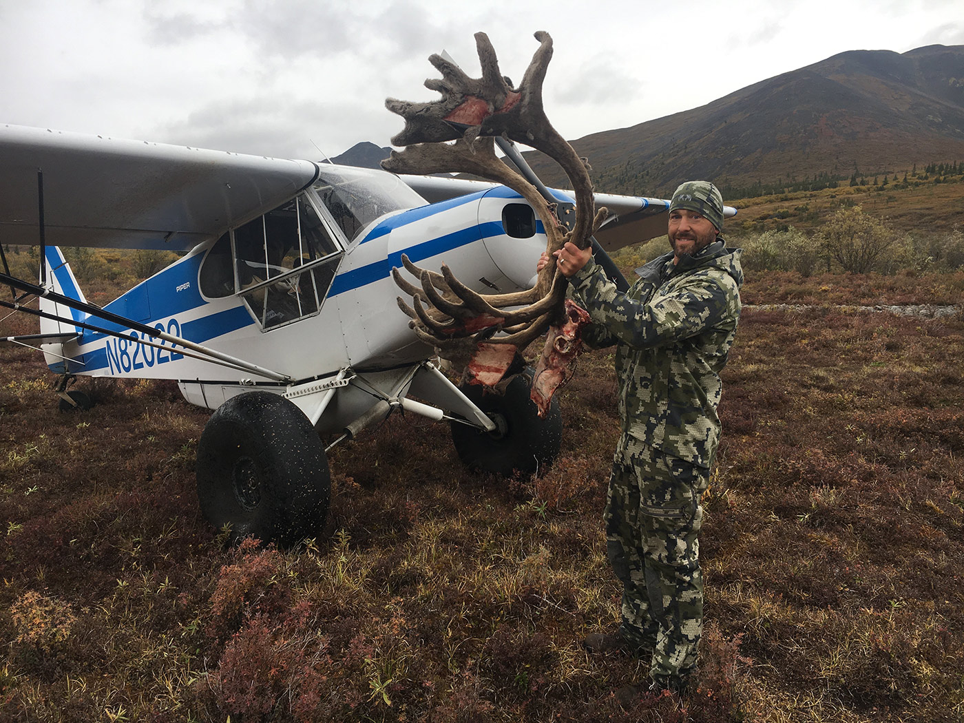 Alaska selfguided caribou hunts 40 mile, YukonCharley, Tok