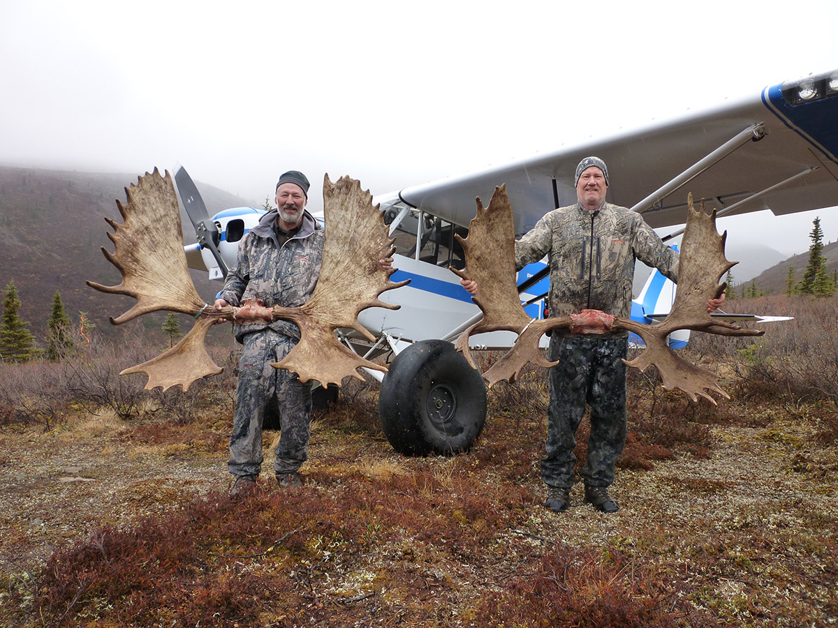 Alaska Selfguided Trophy Moose Hunts