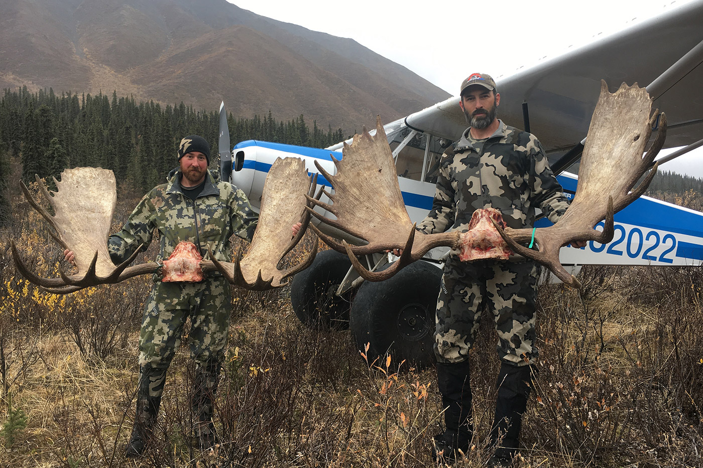 Alaska Selfguided Trophy Moose Hunts