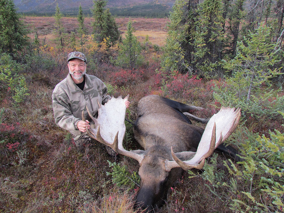 Alaska Selfguided Trophy Moose Hunts