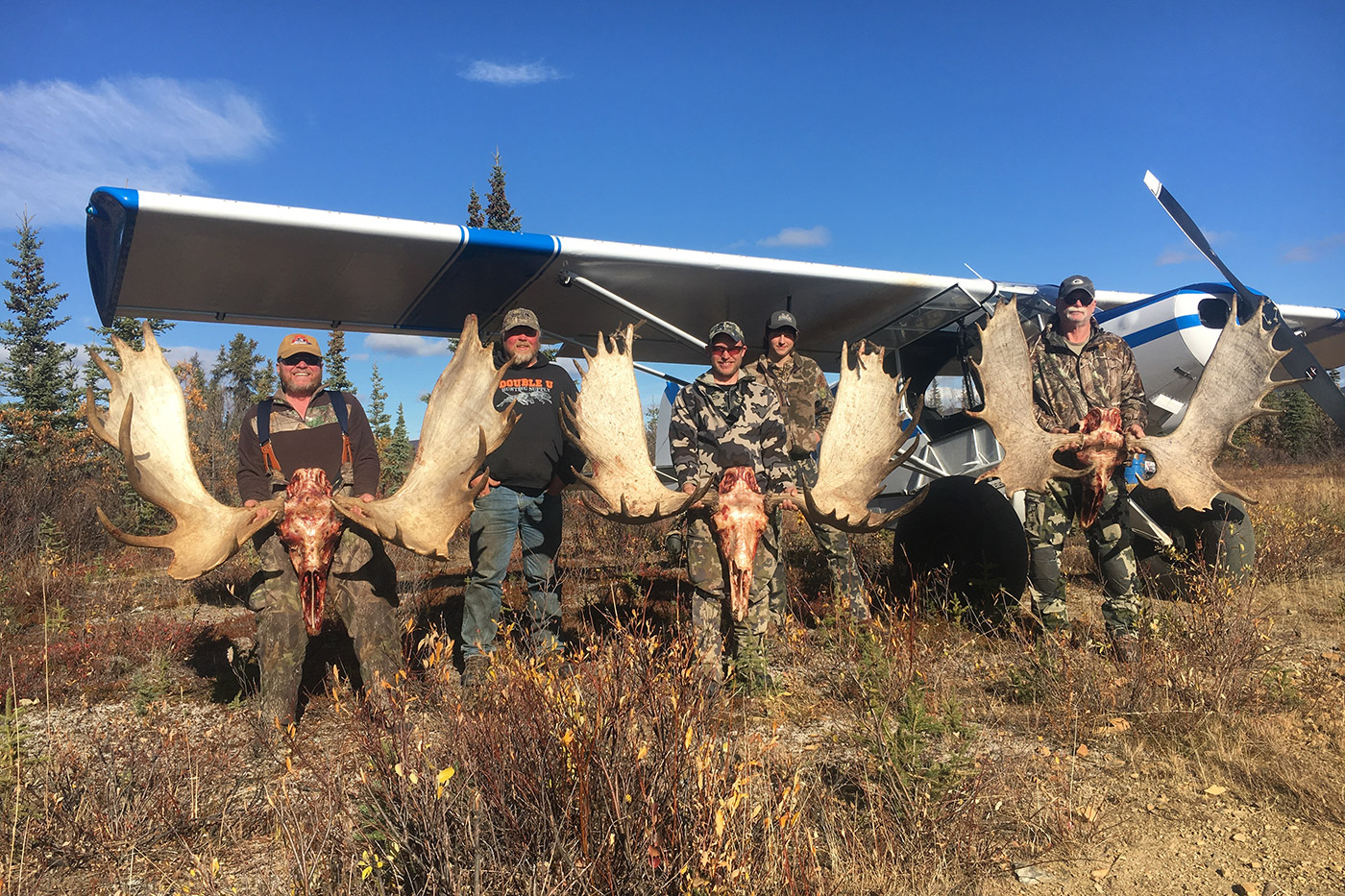 Alaska Selfguided Trophy Moose Hunts