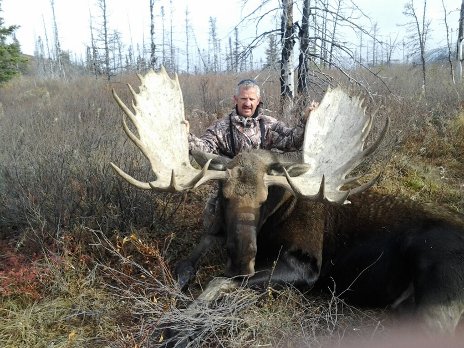 Alaska Selfguided Trophy Moose Hunts