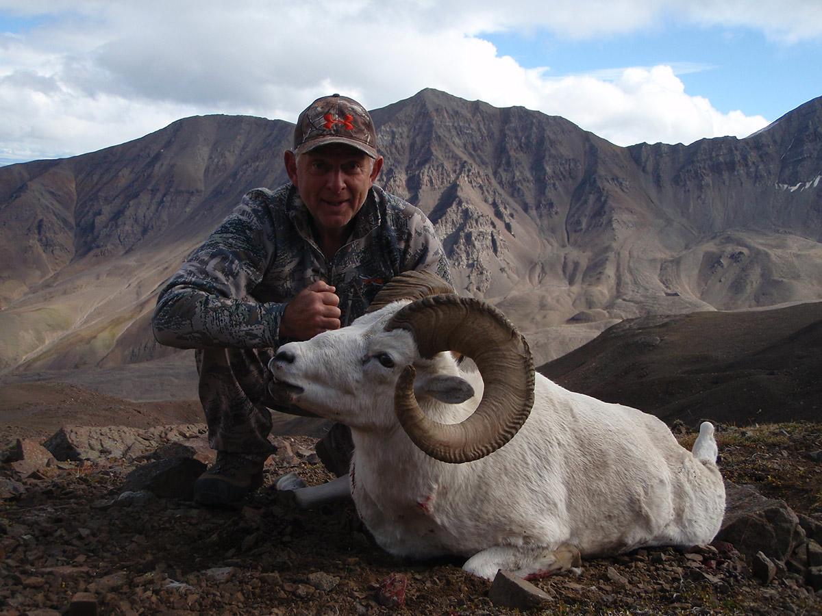 Alaska Sheep Hunts in the Wrangells, YukonCharley, Delta, and Tok