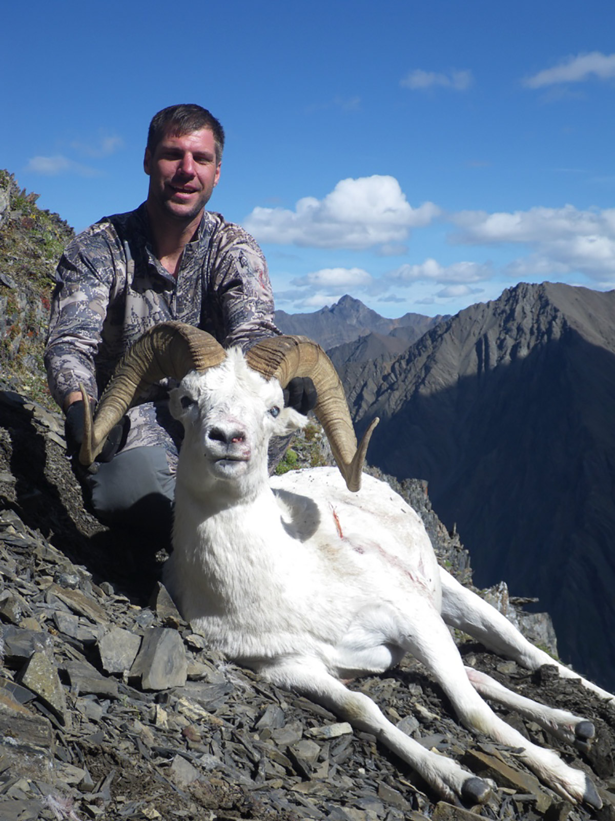 Alaska Sheep Hunts in the Wrangells, YukonCharley, Delta, and Tok