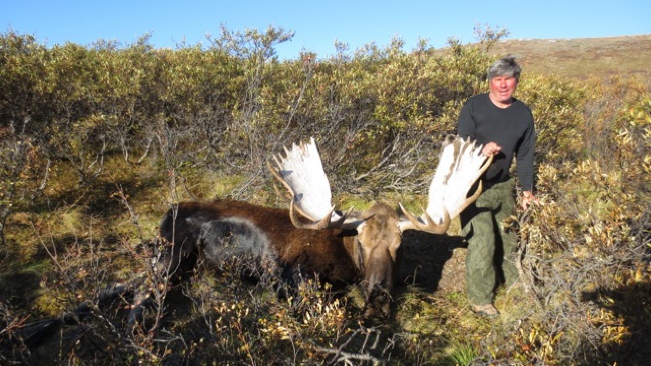 High Country Swamp Donkeys