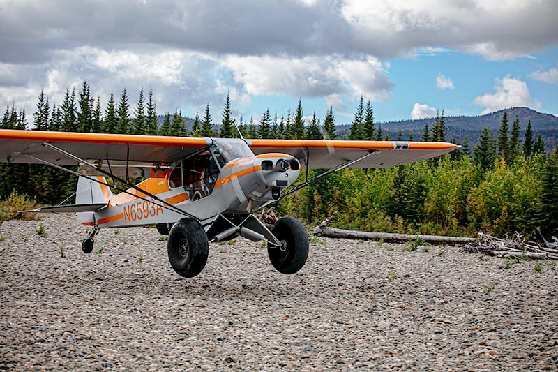 Alaska self-guided caribou hunts