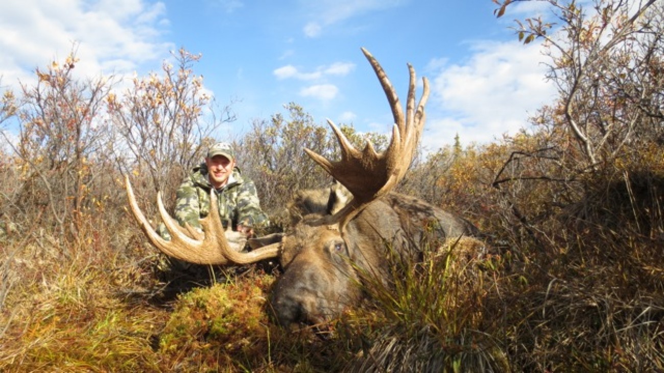 High Country Swamp Donkeys