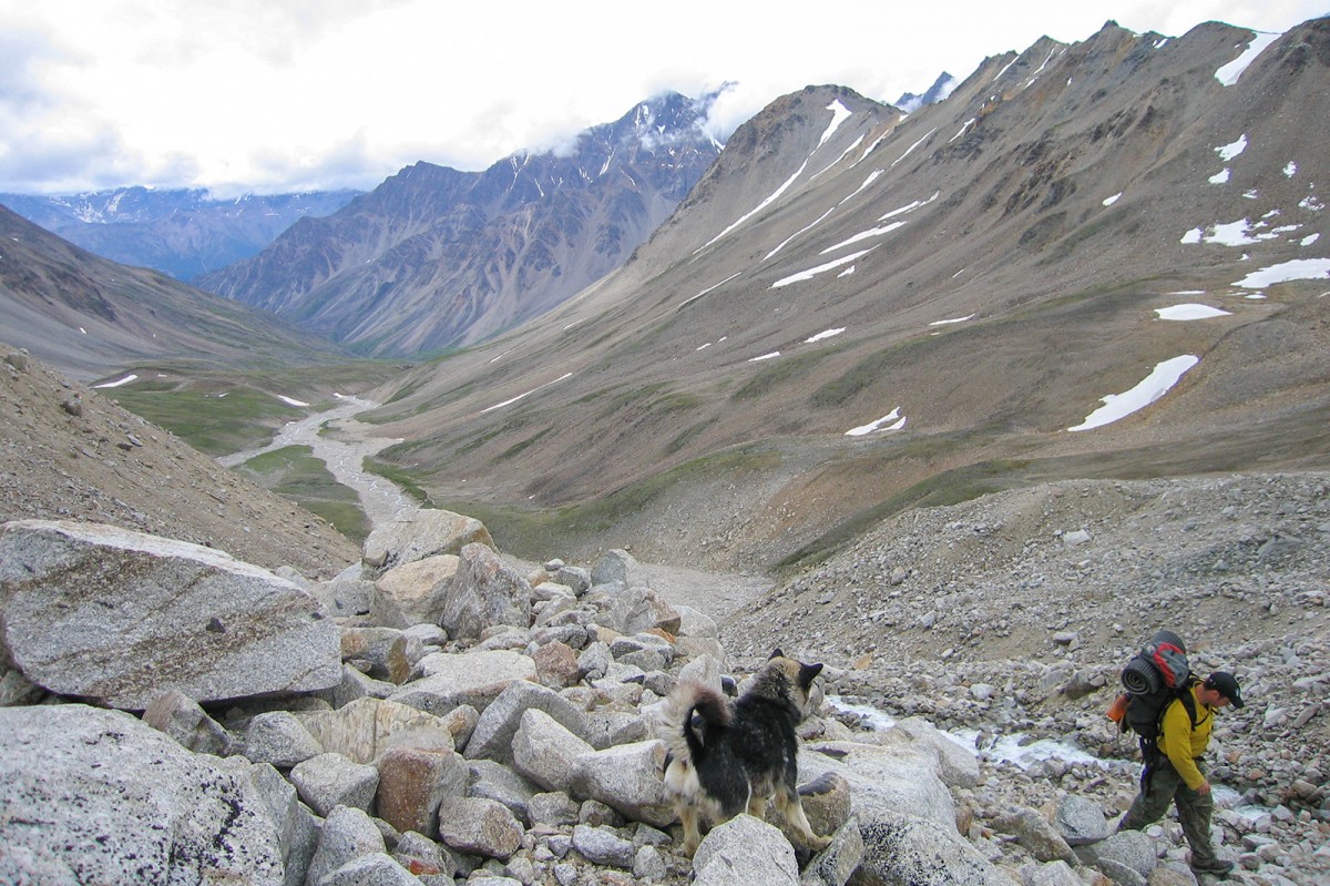 Backpacking the Eastern Alaska Range along the Robertson/Johnson Route.