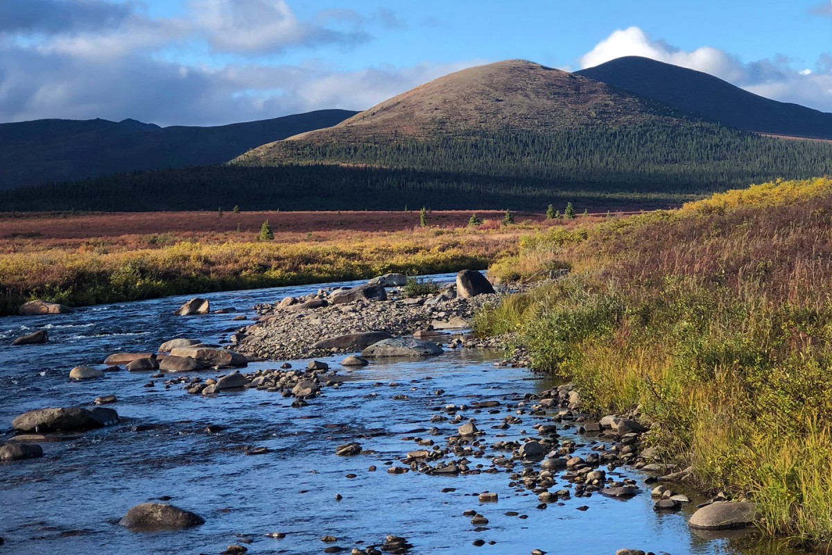 Charley River up in the high country.