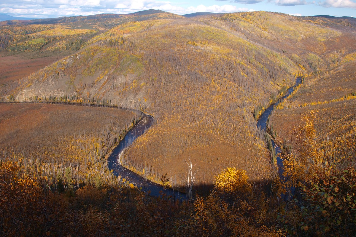 Looking over the Forty Mile River while taking a hike.