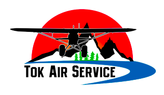 Tok Air Service logo