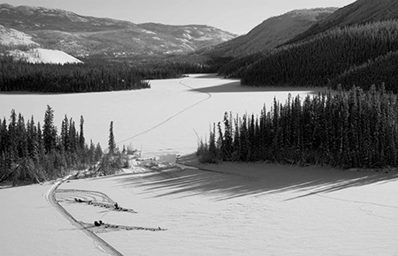 Iditarod and Yukon Quest