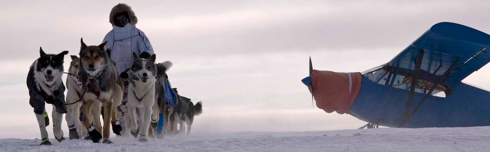 Yukon Quest